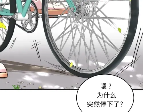 第228页