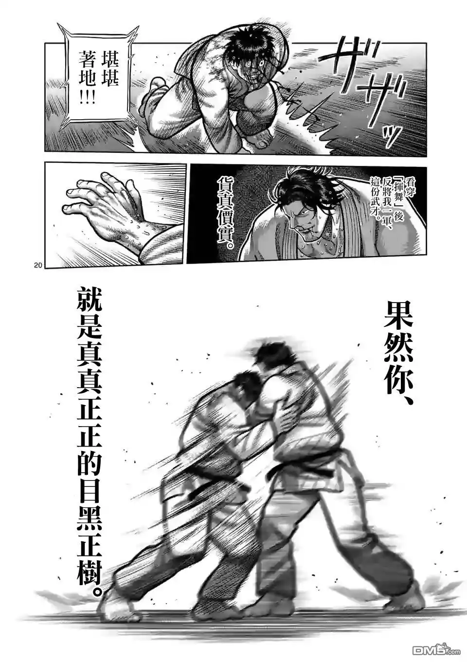 第20页