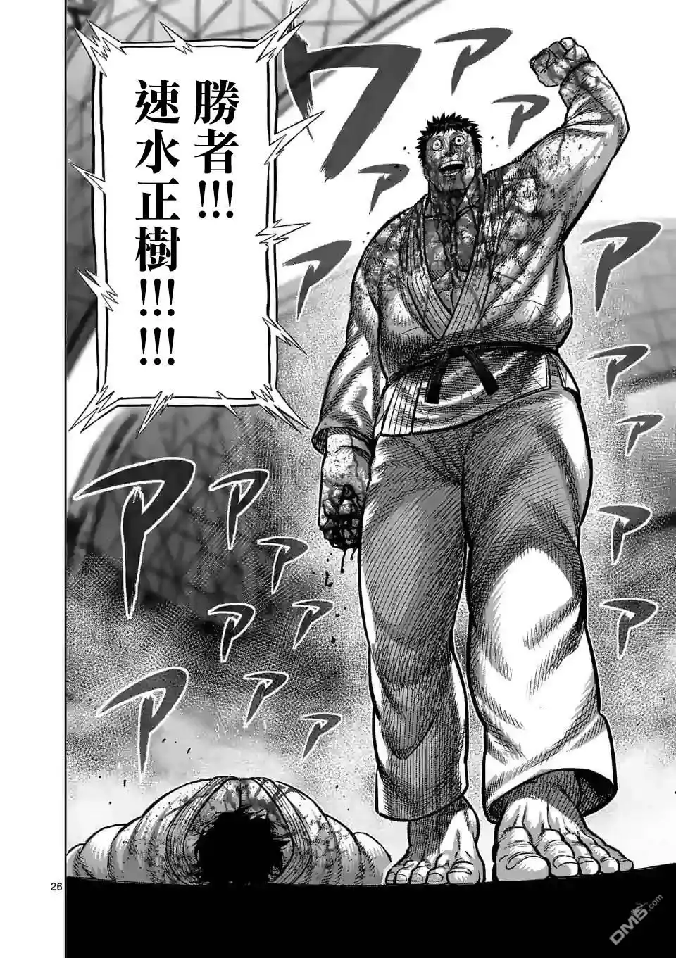 第26页