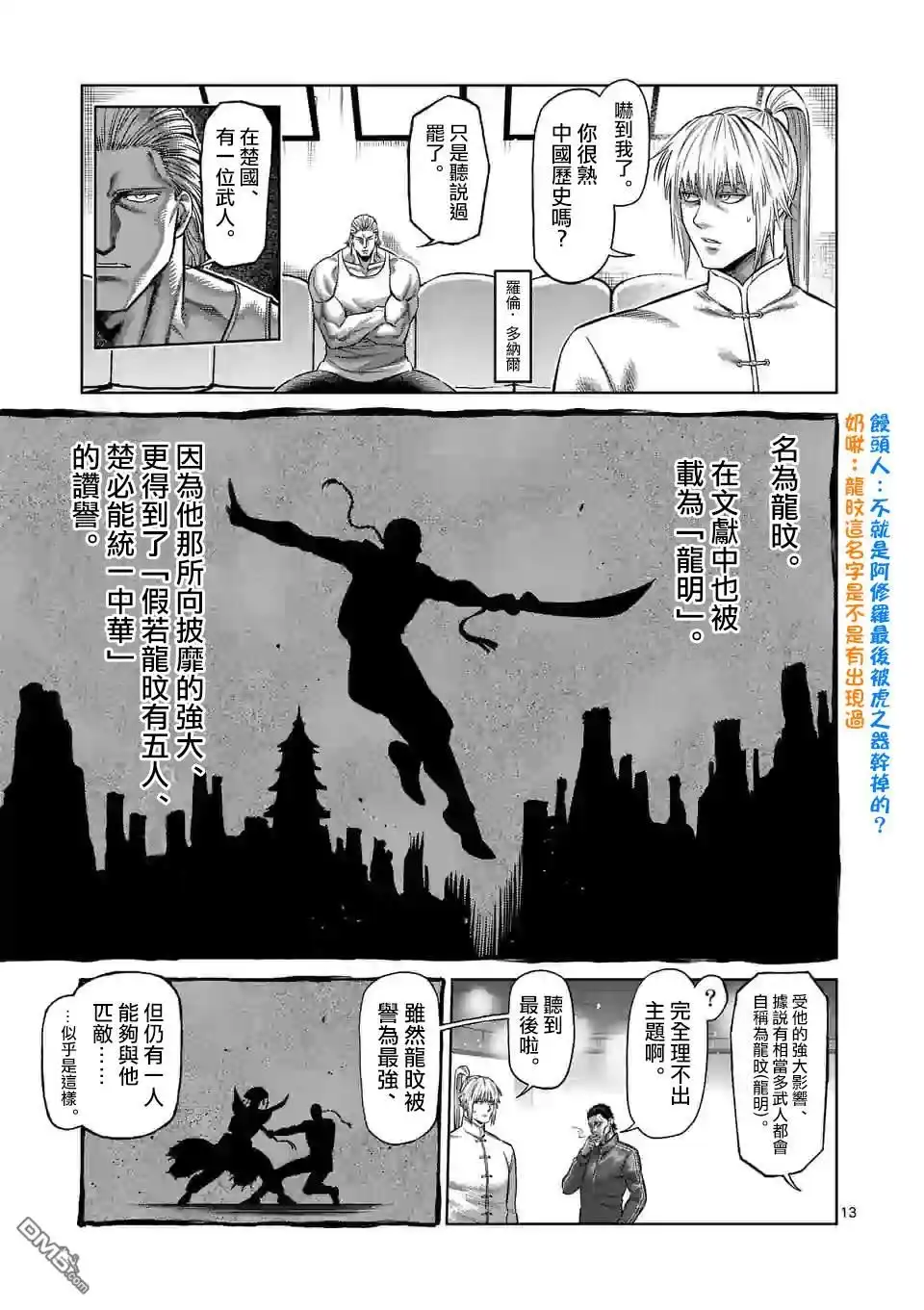 第13页