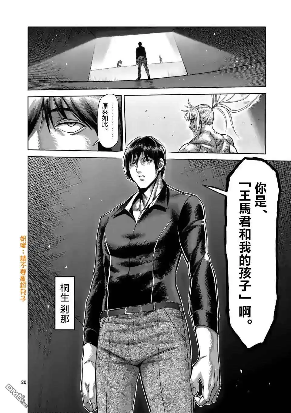 第20页