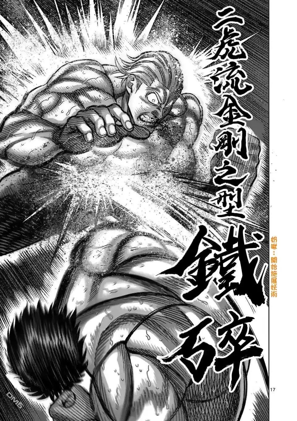 第17页