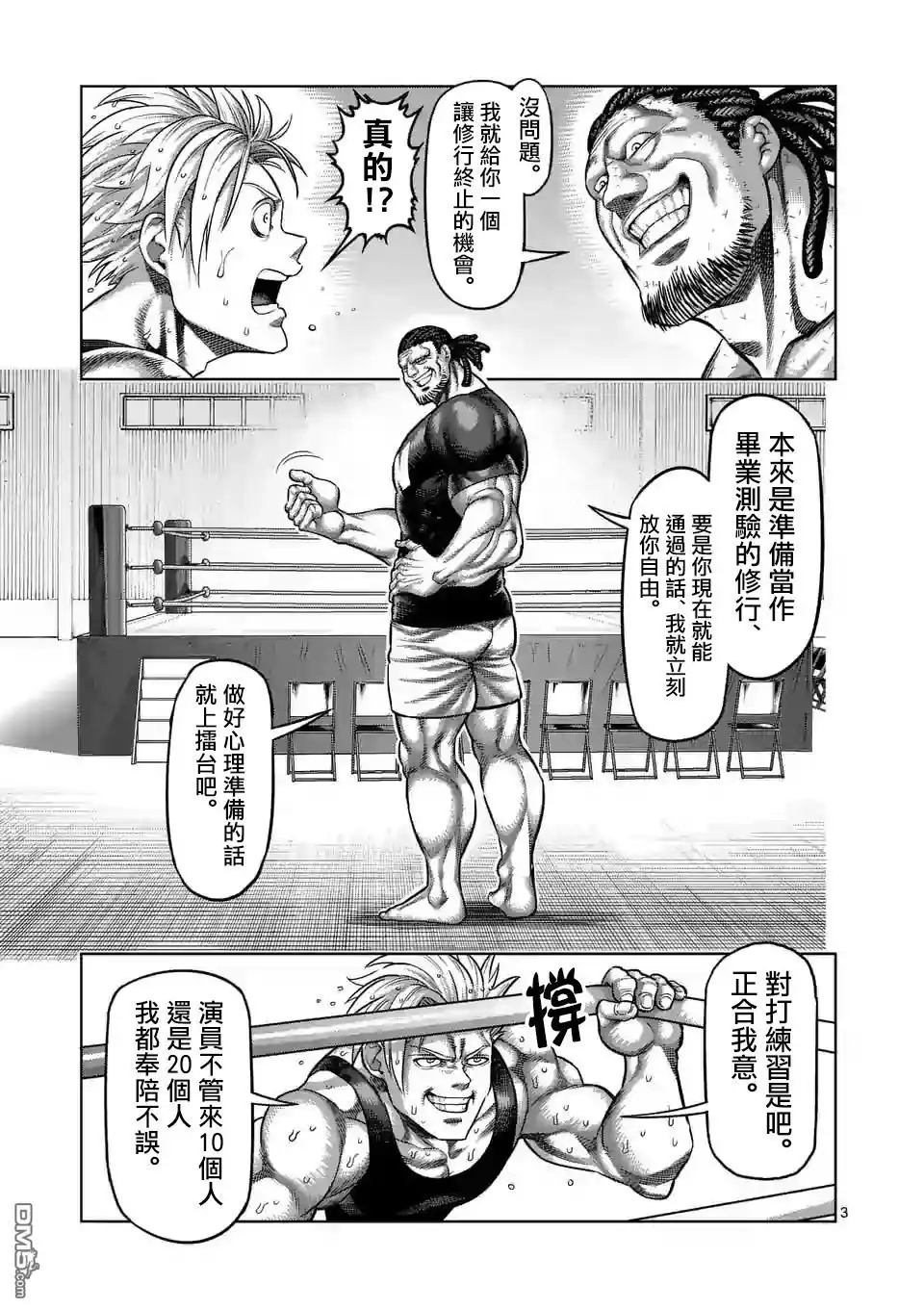 第3页