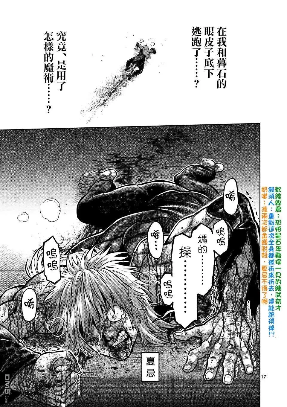 第17页