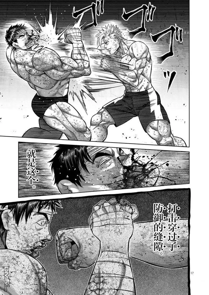 第17页