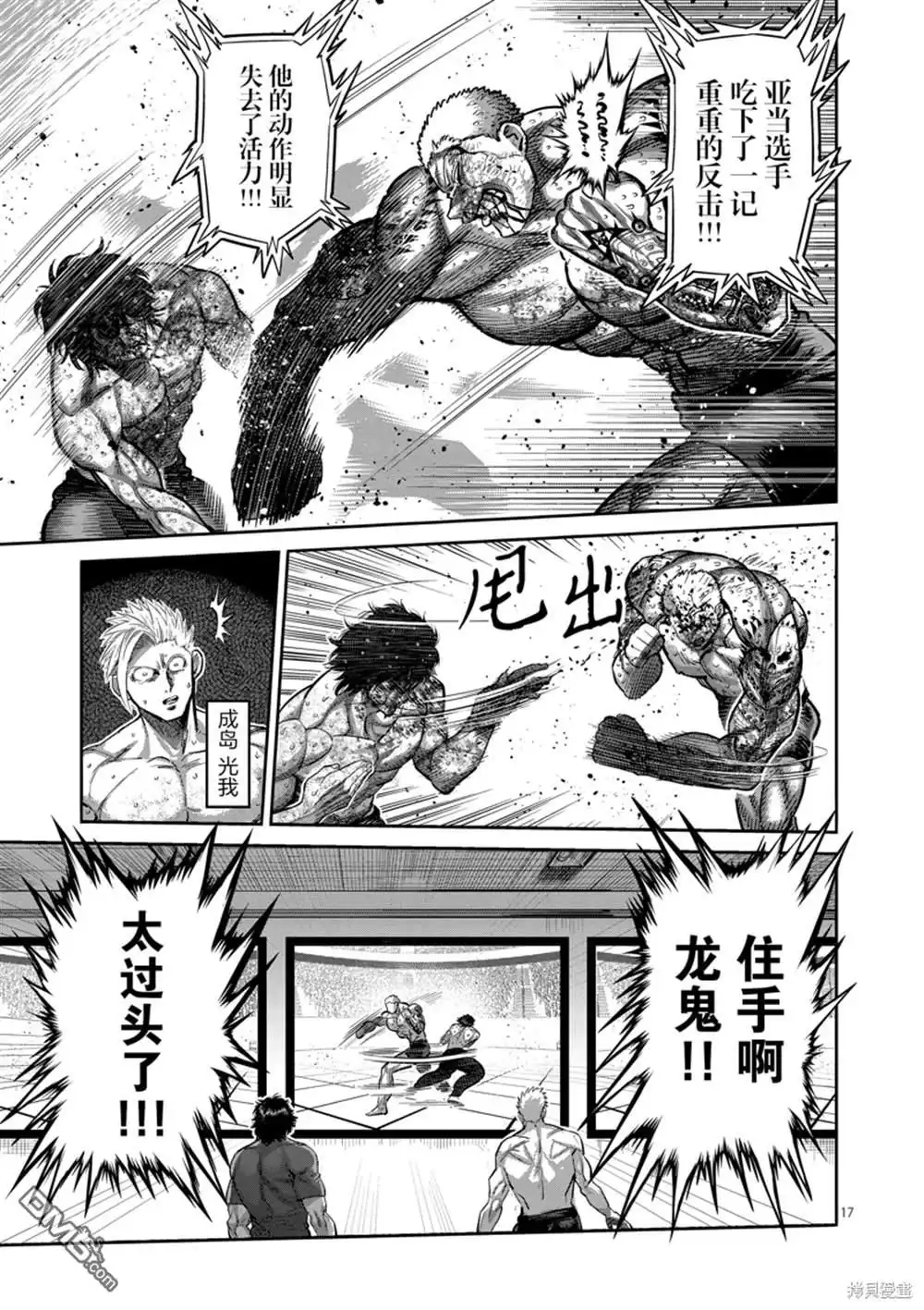第17页