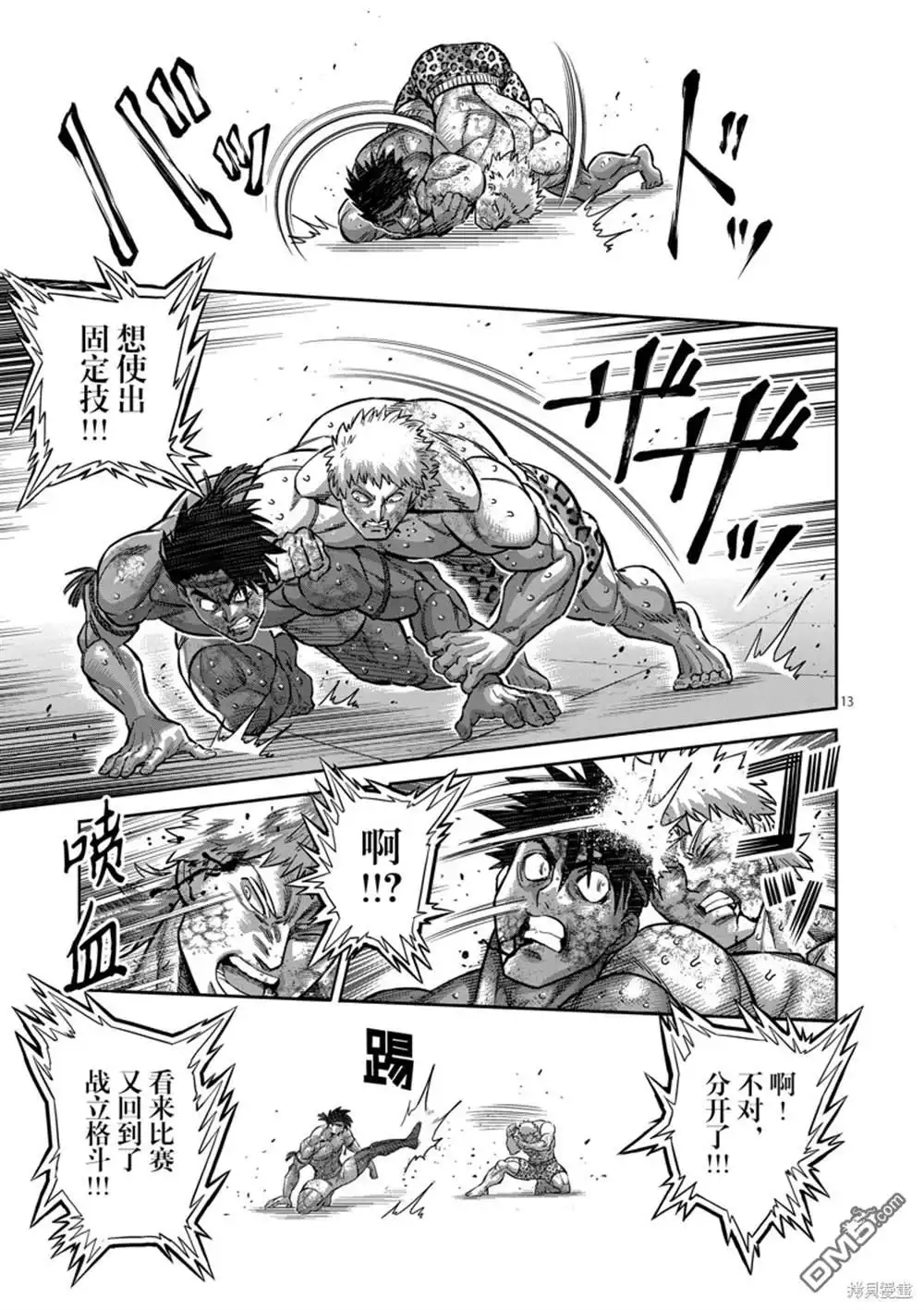 第13页