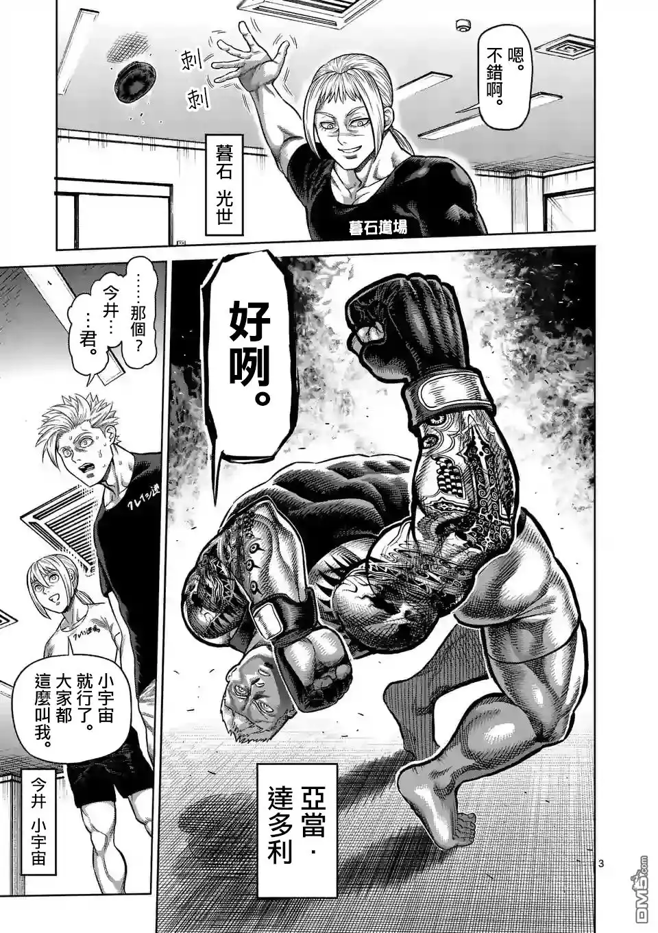 第3页