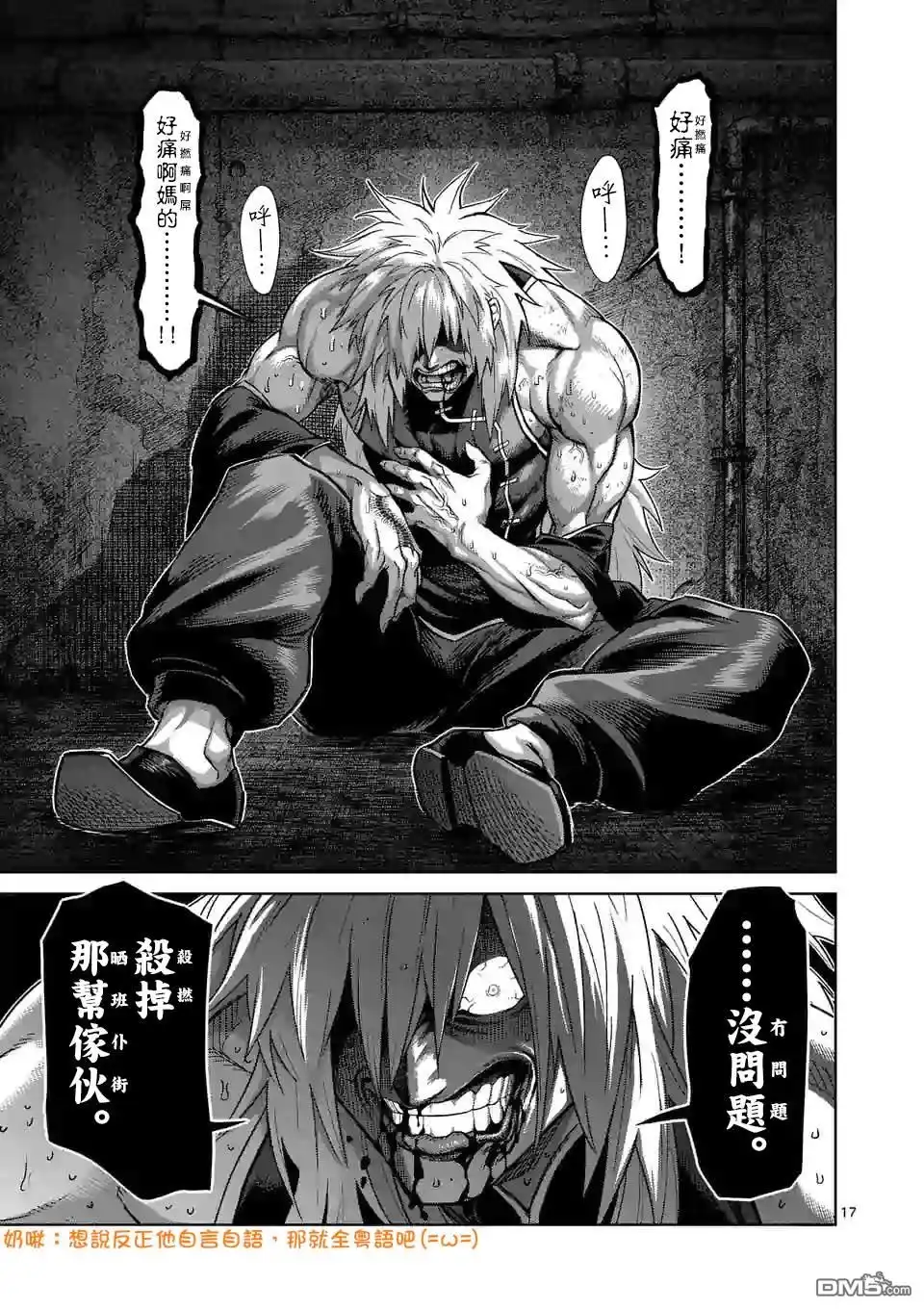 第17页
