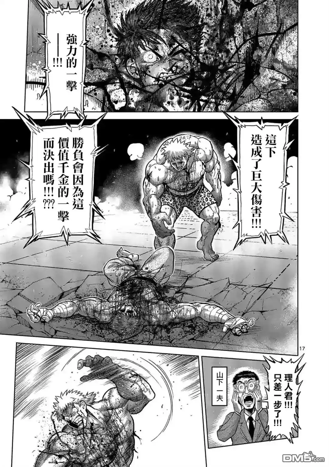 第17页