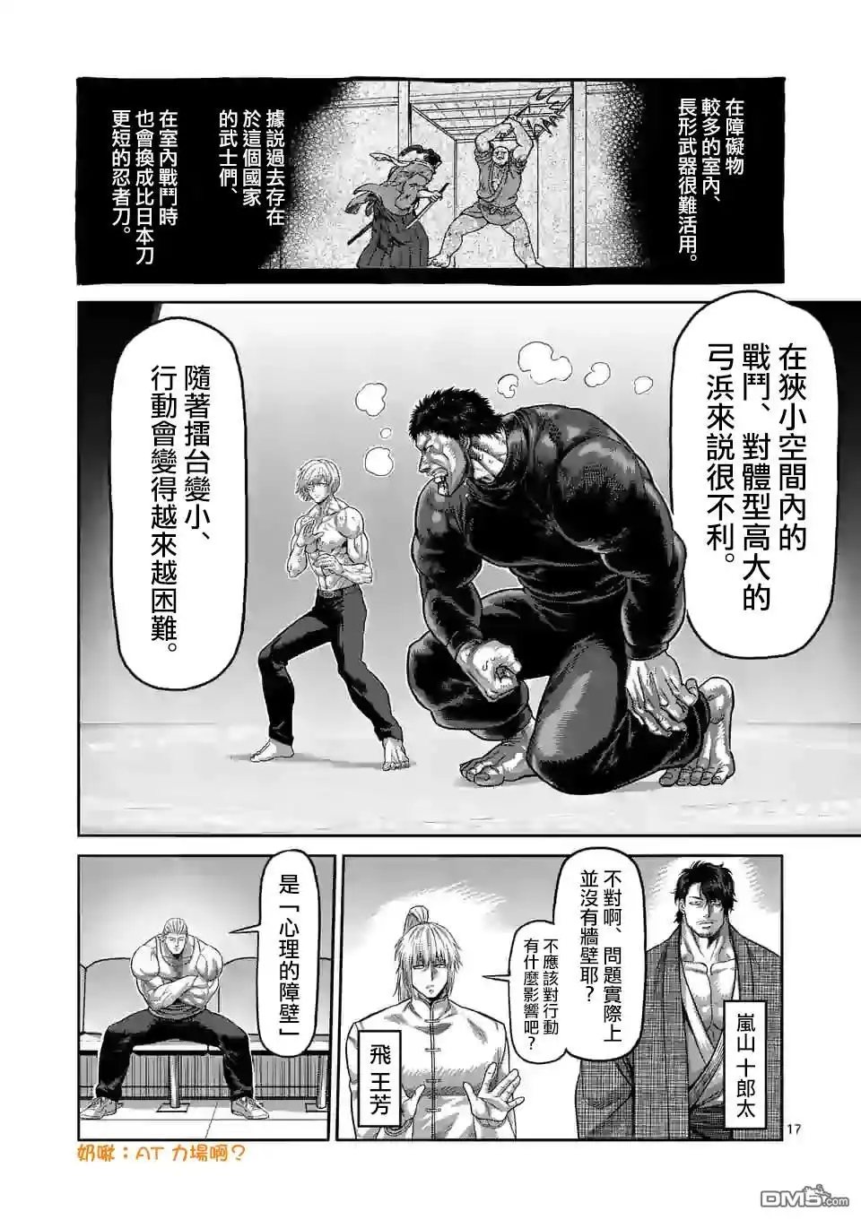 第17页