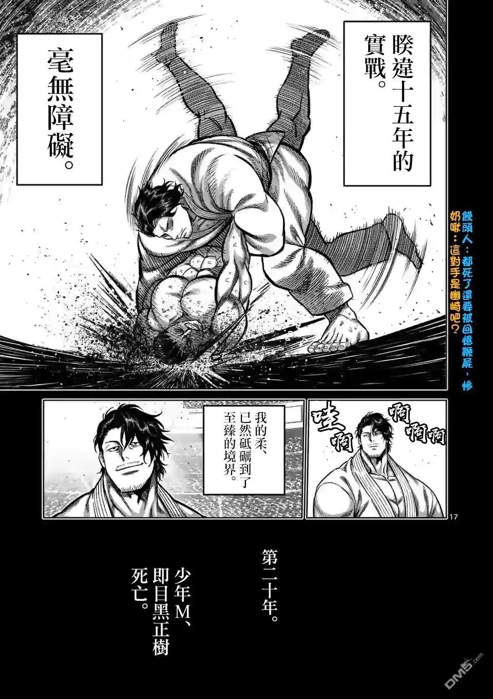 第17页
