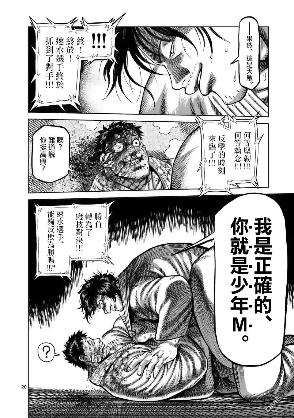 第20页