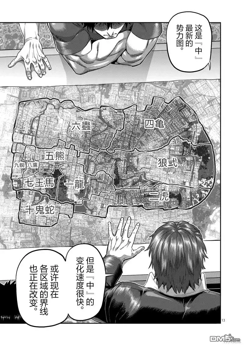 第13页