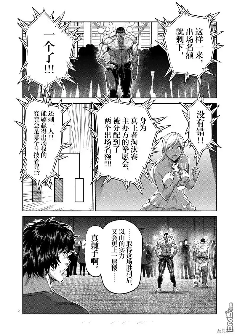 第20页