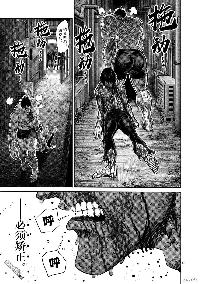 第17页