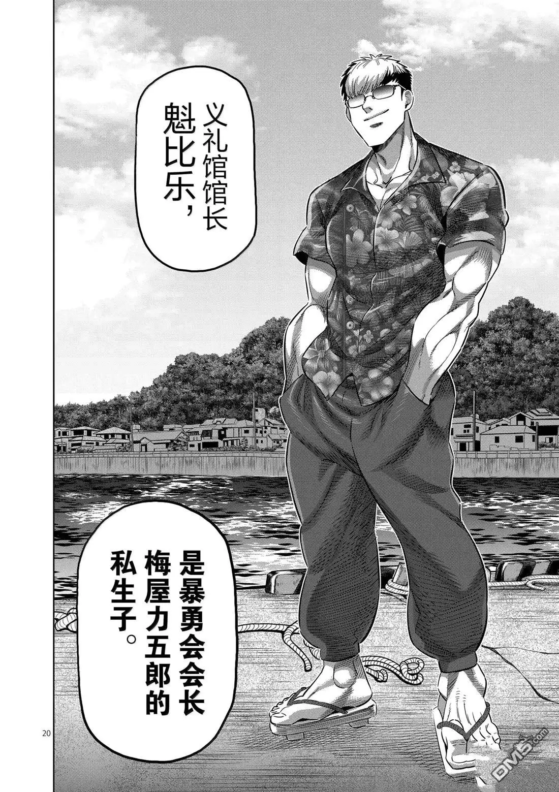 第20页