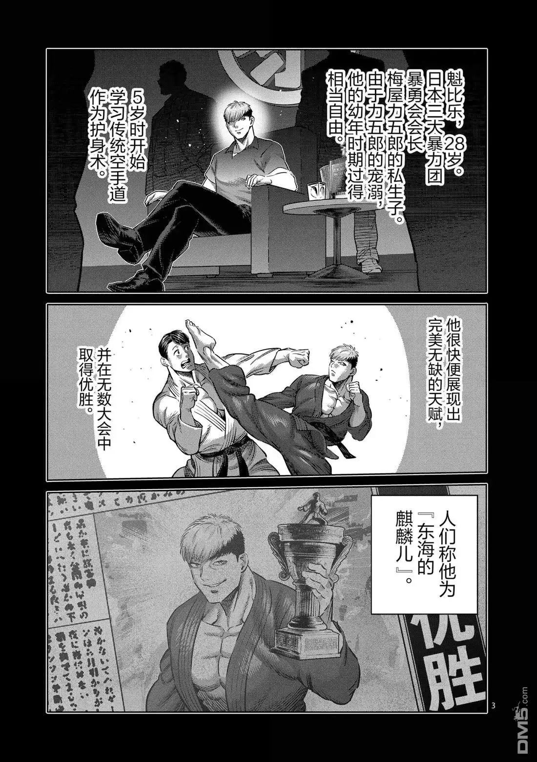 第3页