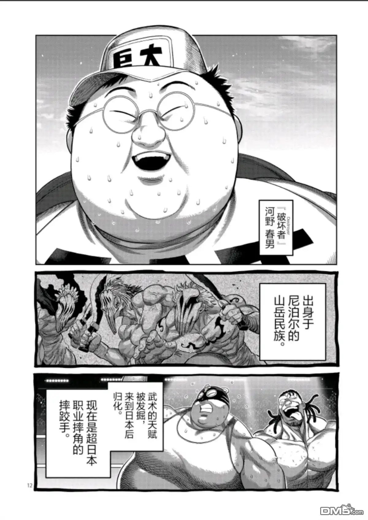 第12页