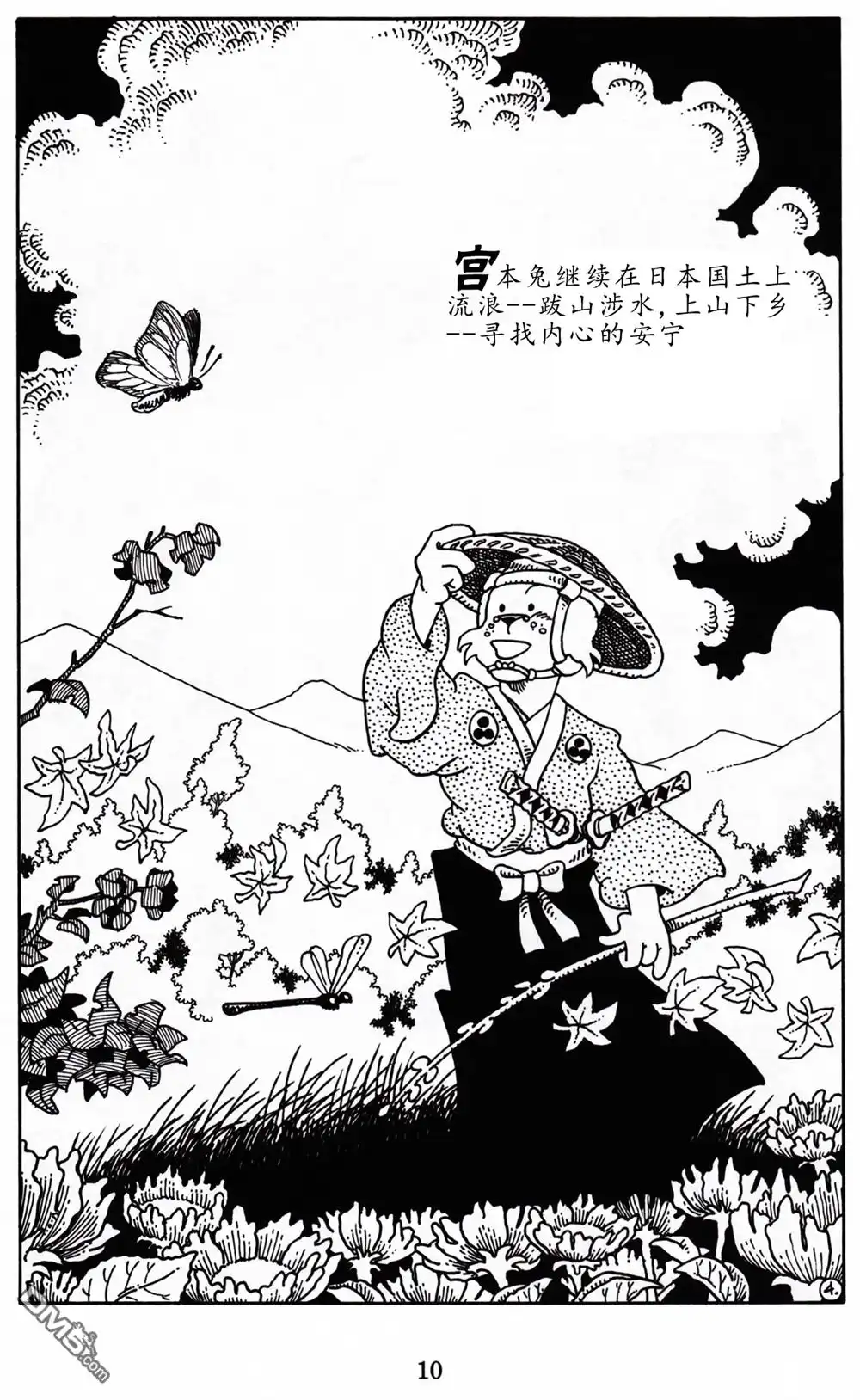 第11页