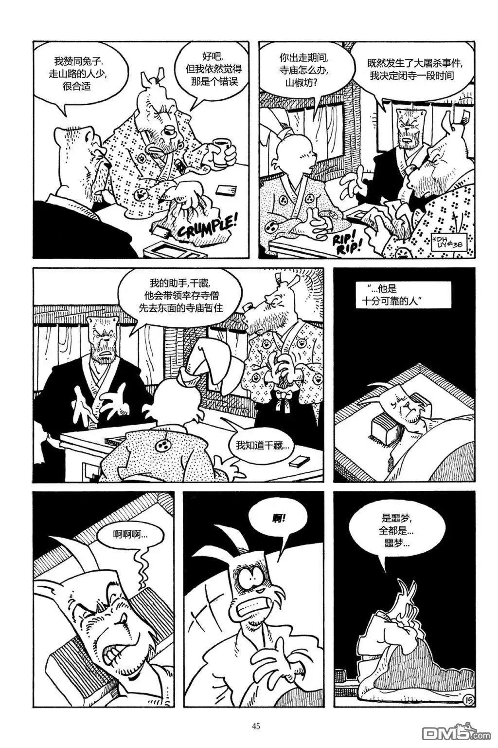 第17页