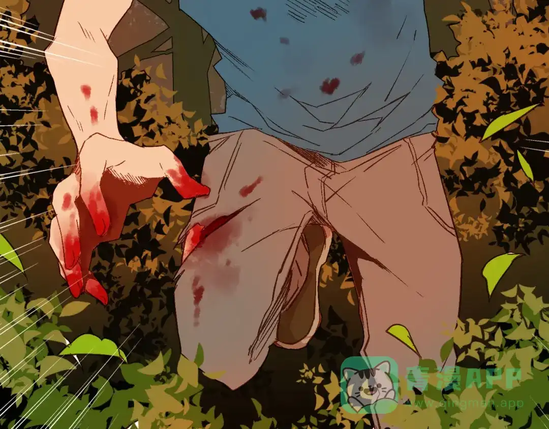第81页
