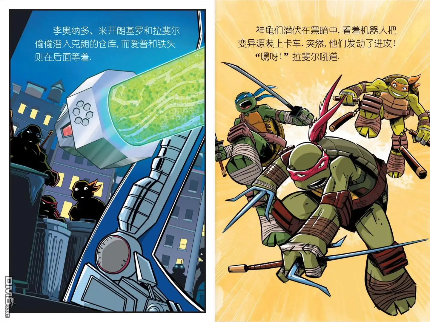 第13页