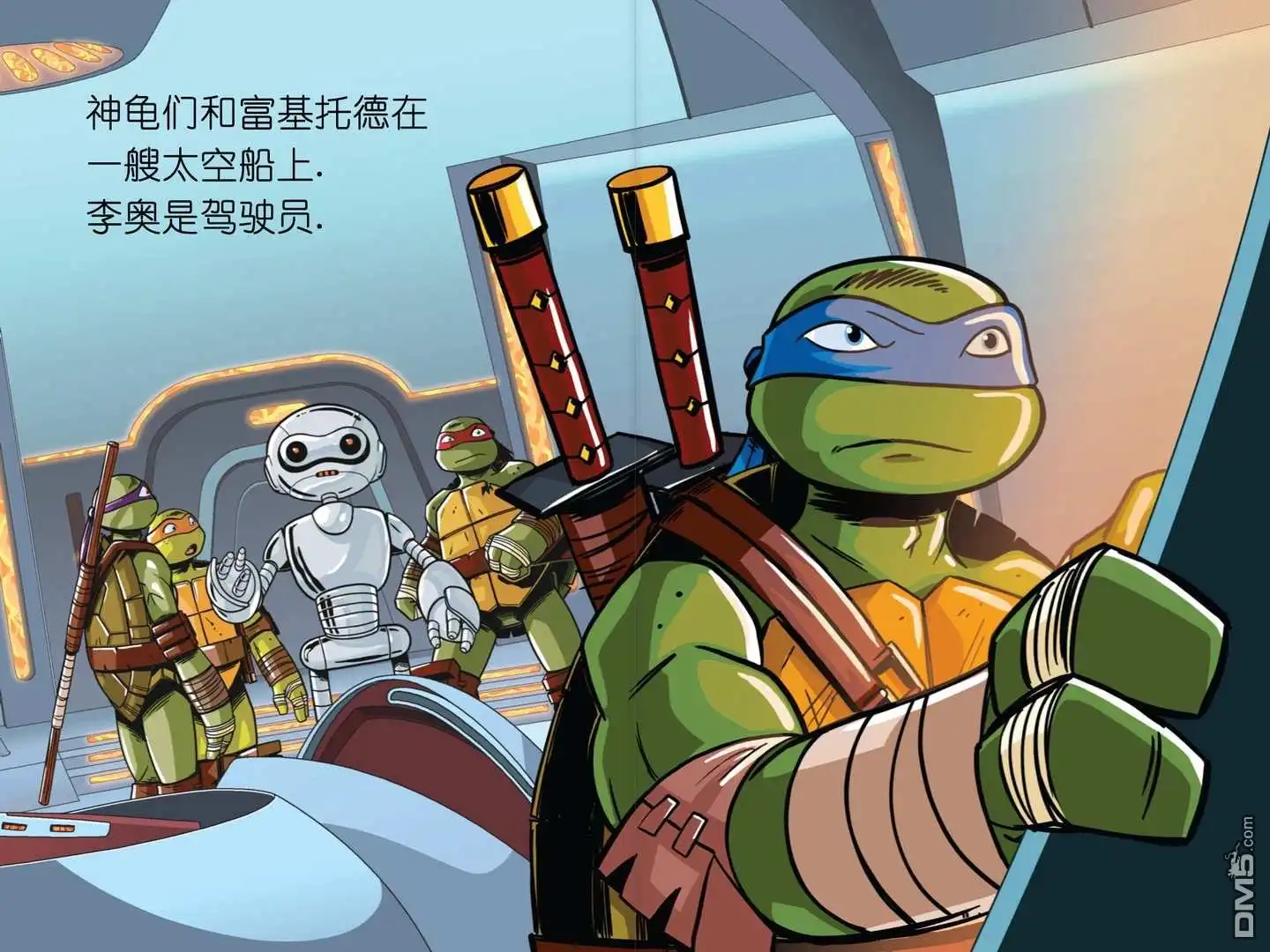 第3页