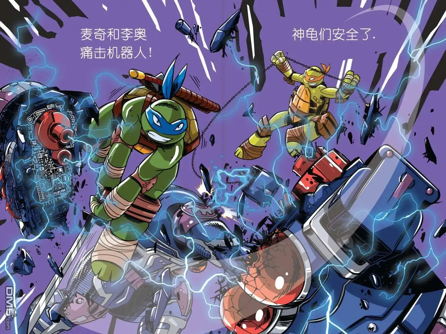 第8页