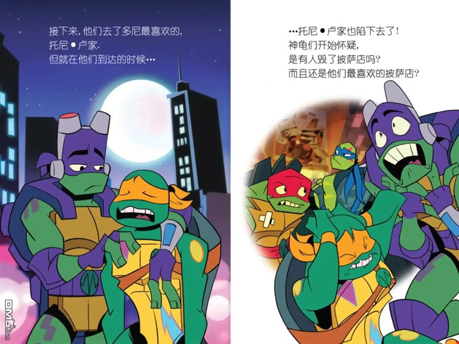 第5页