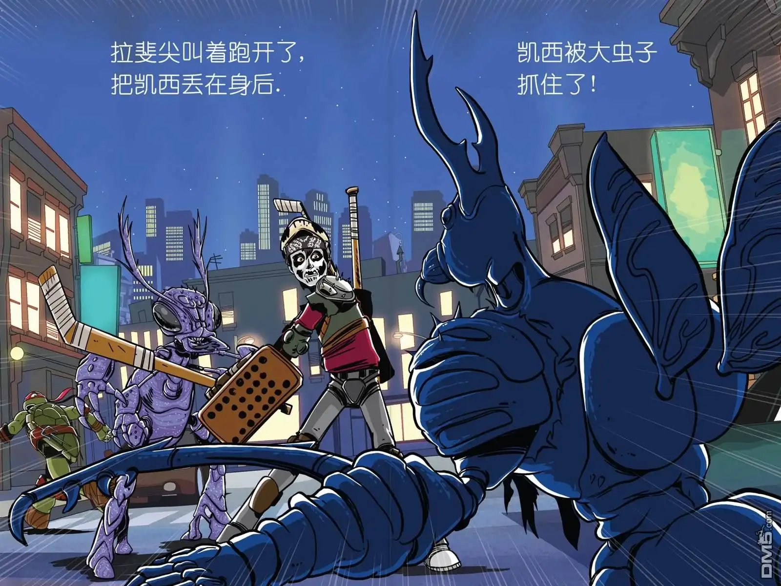 第5页
