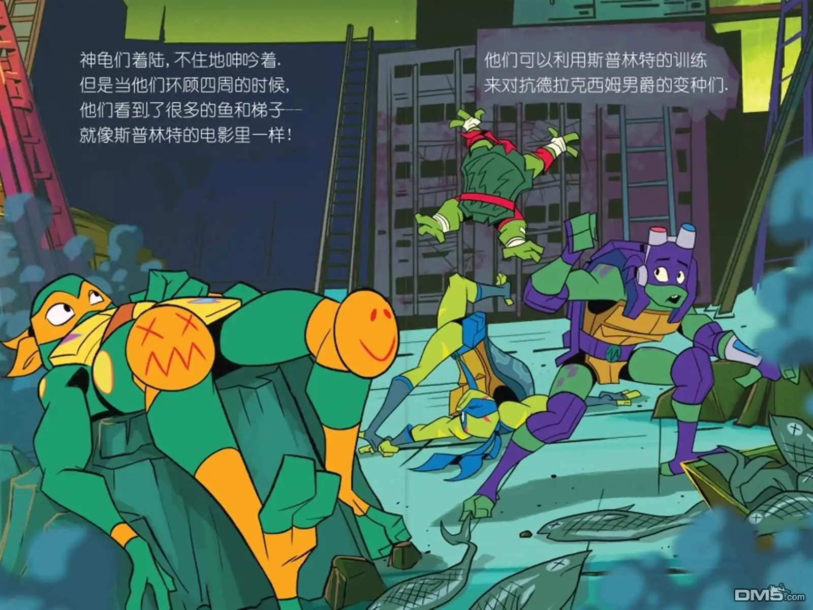 第12页