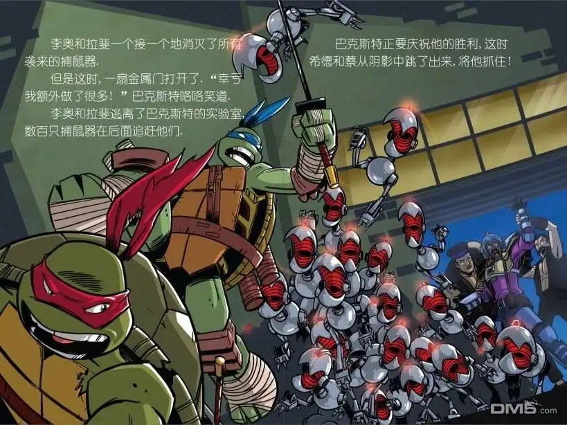 第11页