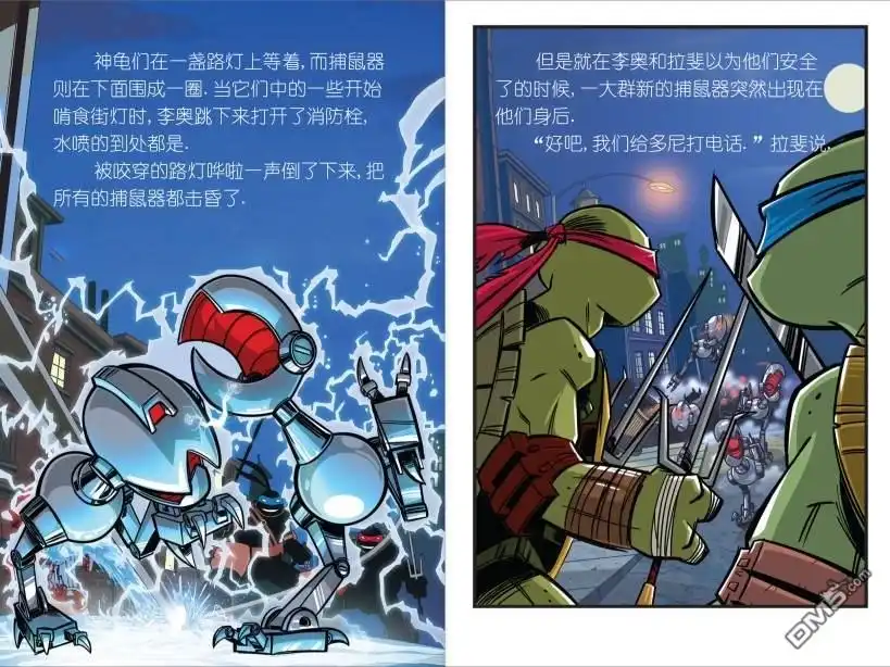 第13页