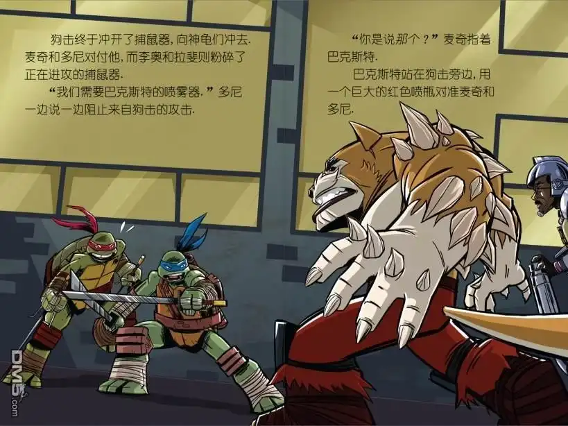 第21页