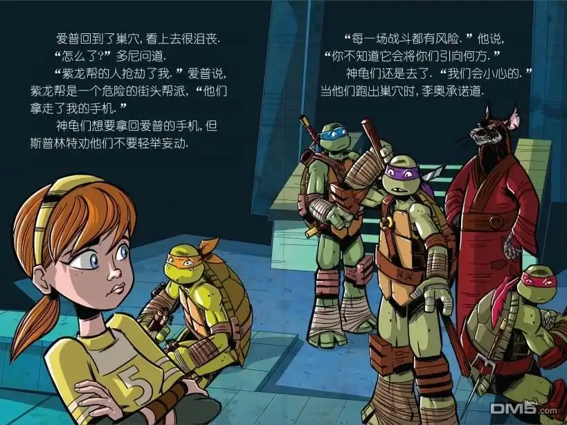 第6页