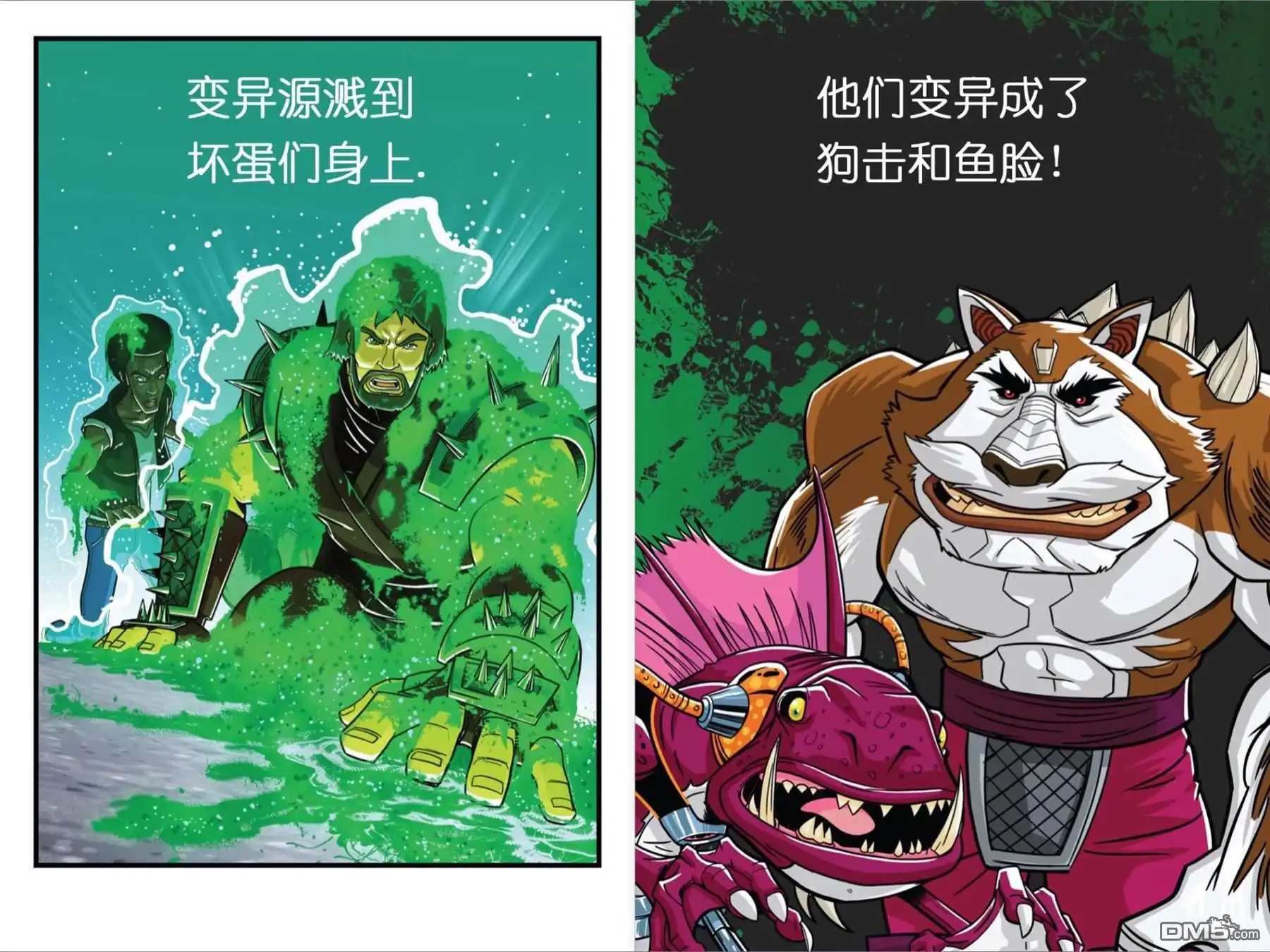 第11页