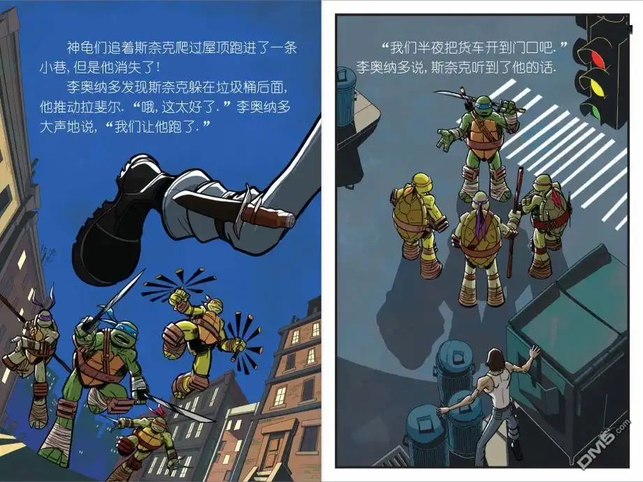 第17页