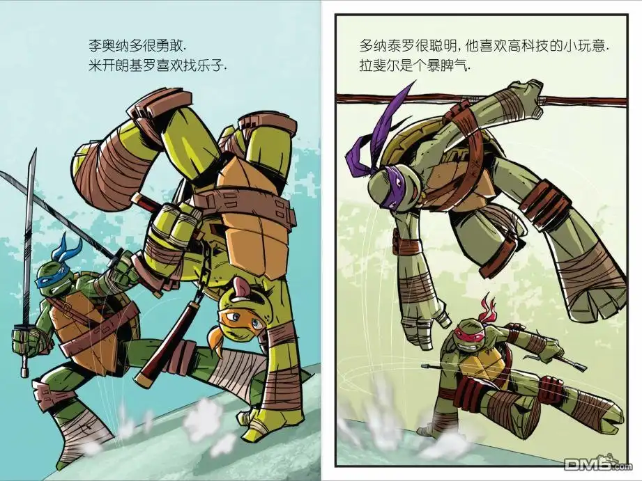 第5页