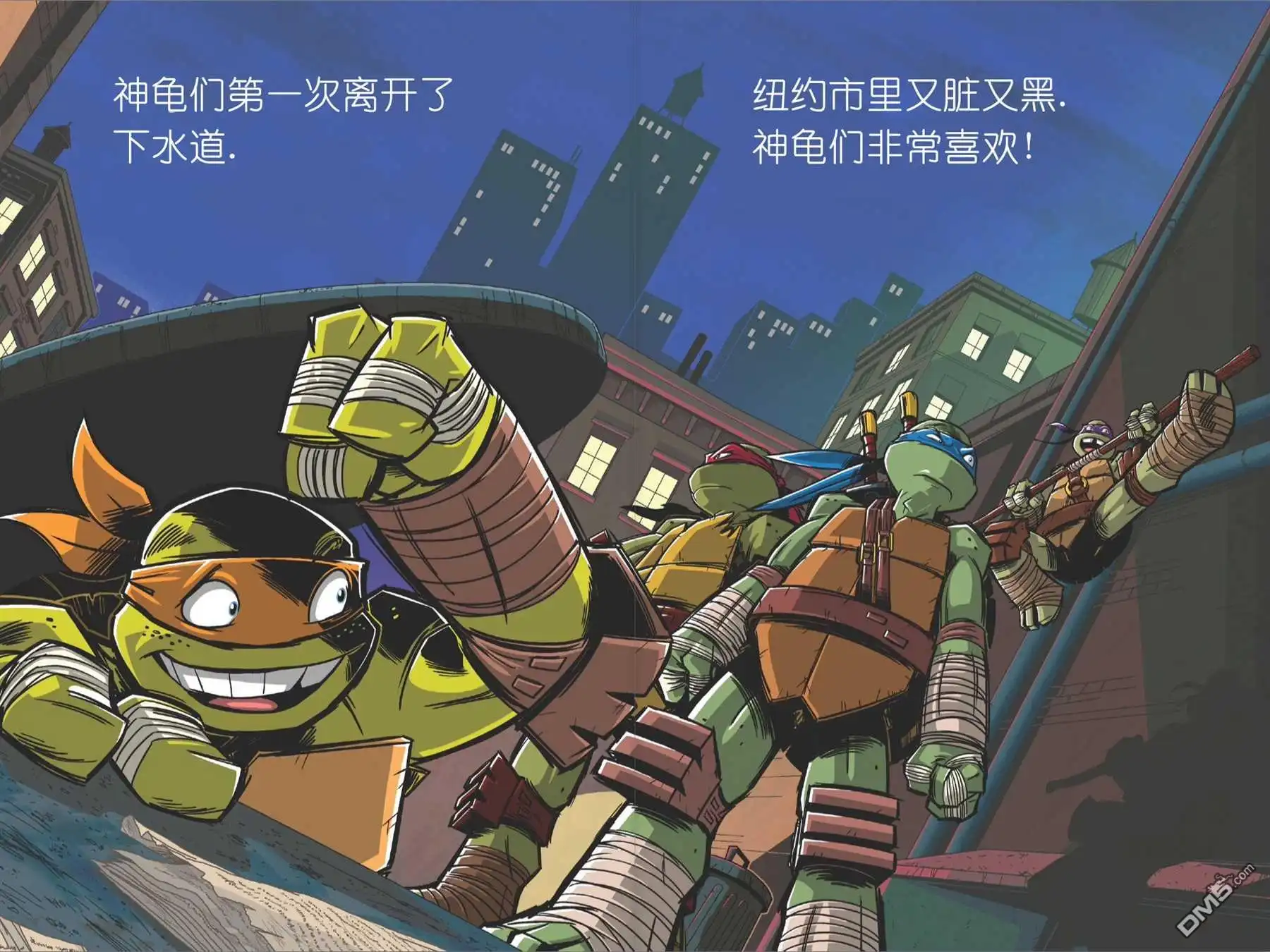 第5页