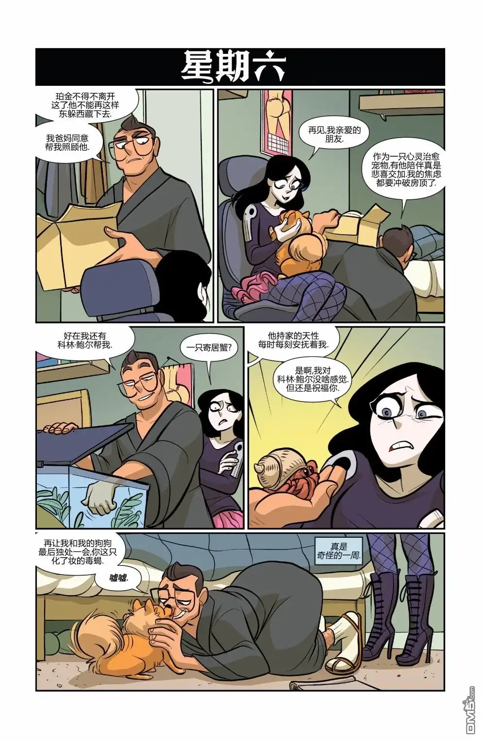 第23页