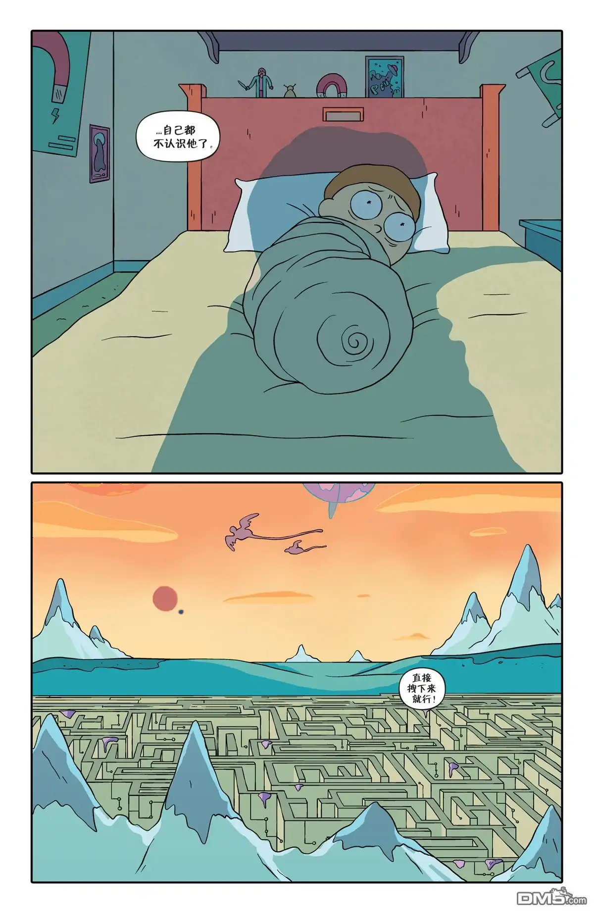 第5页