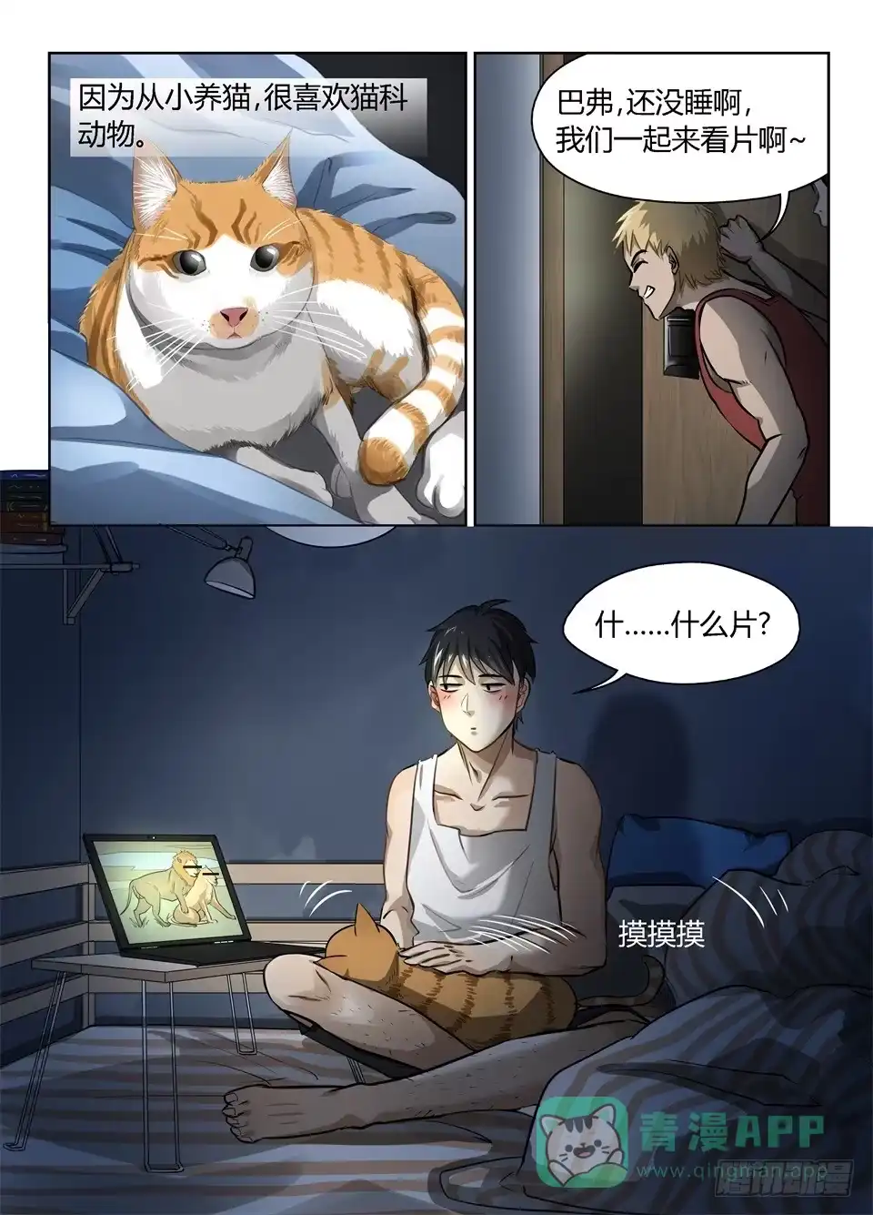 第11页