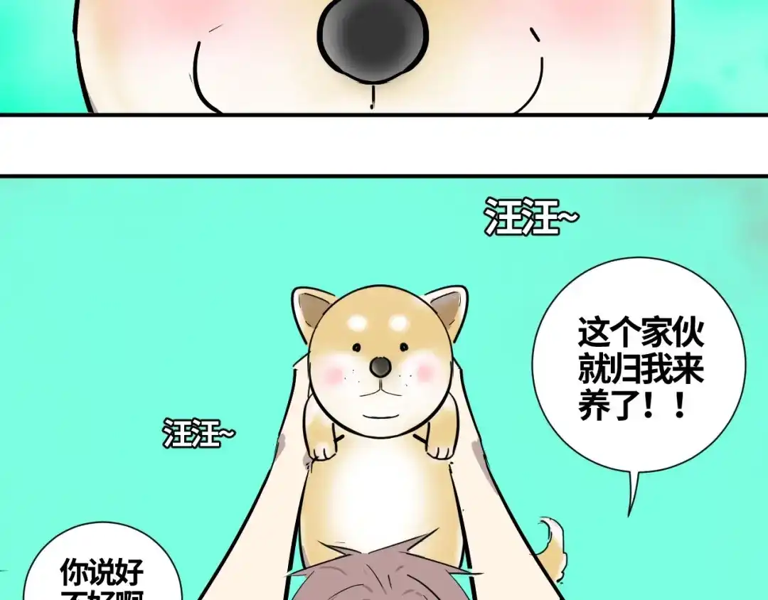 第207页