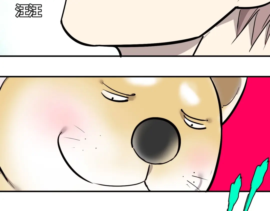 第210页