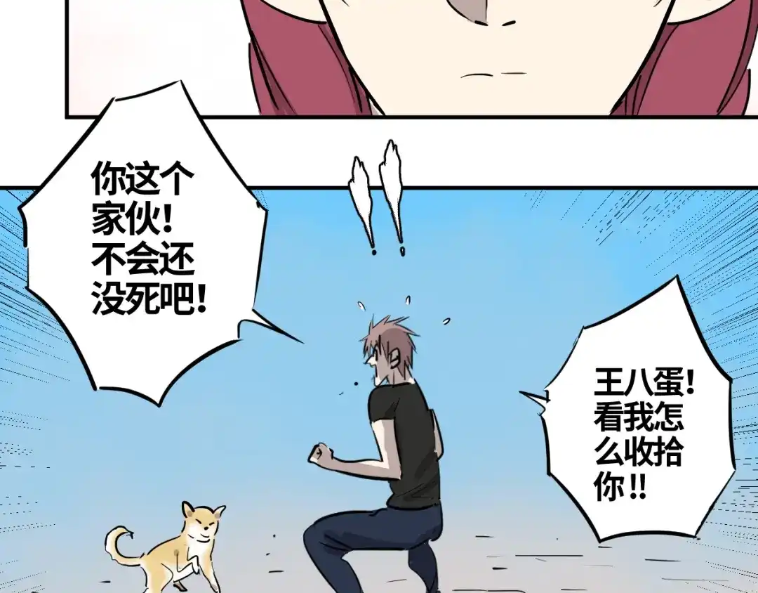 第215页