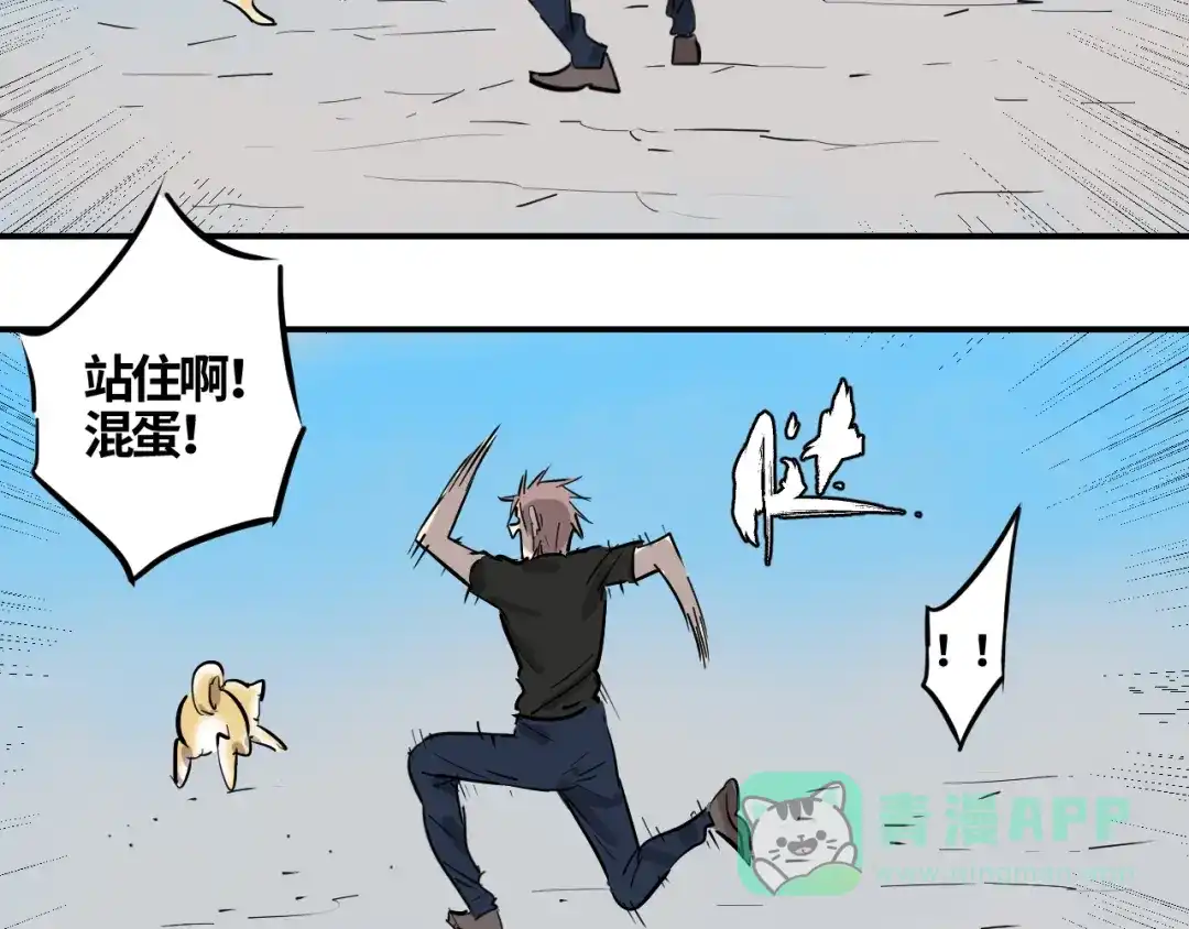 第216页