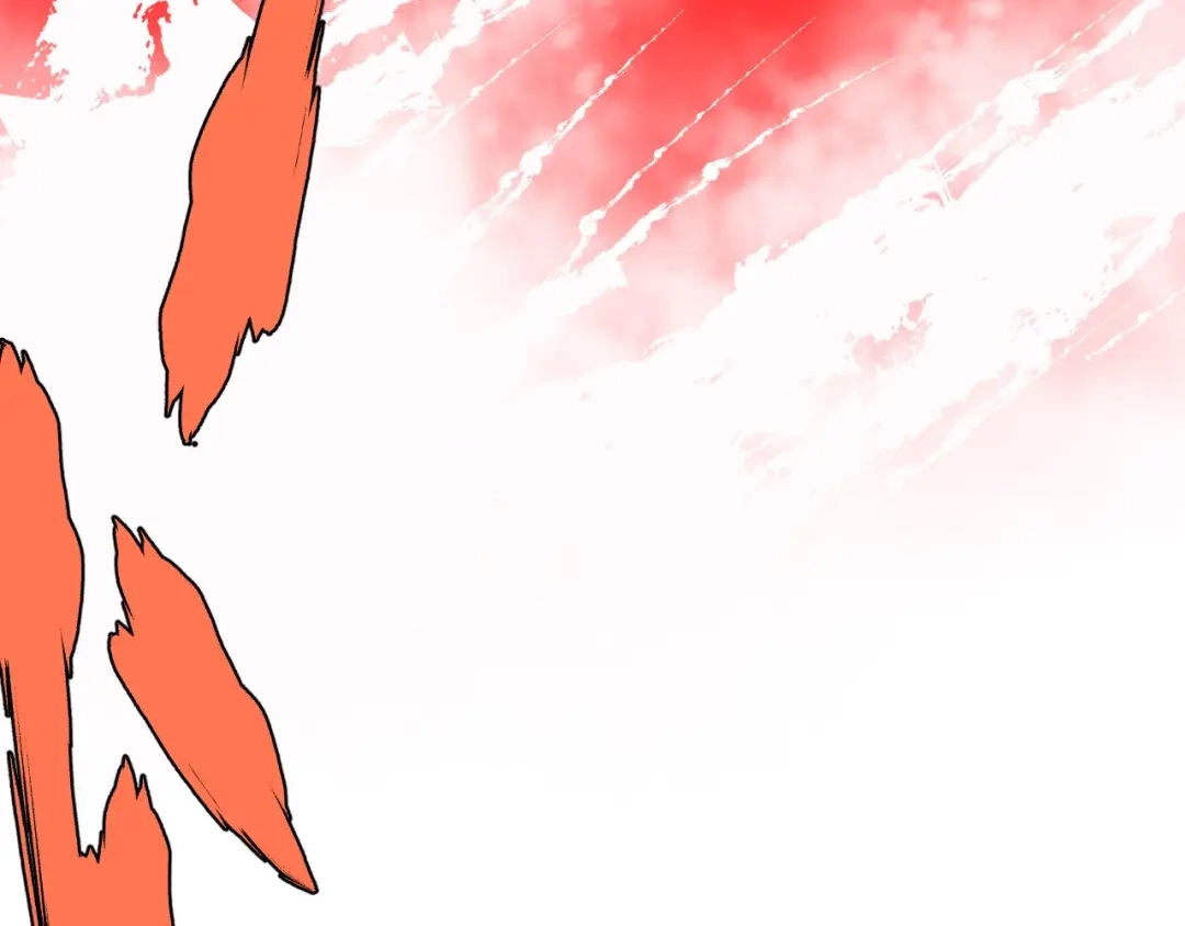 第215页