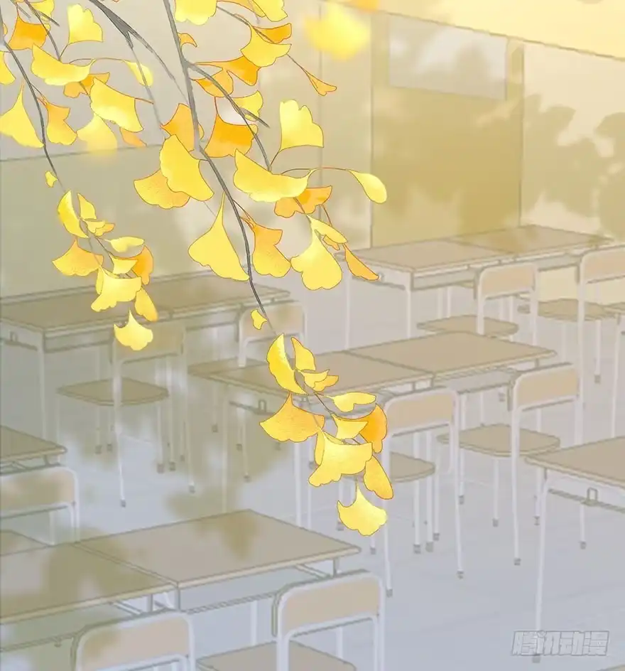 第53页