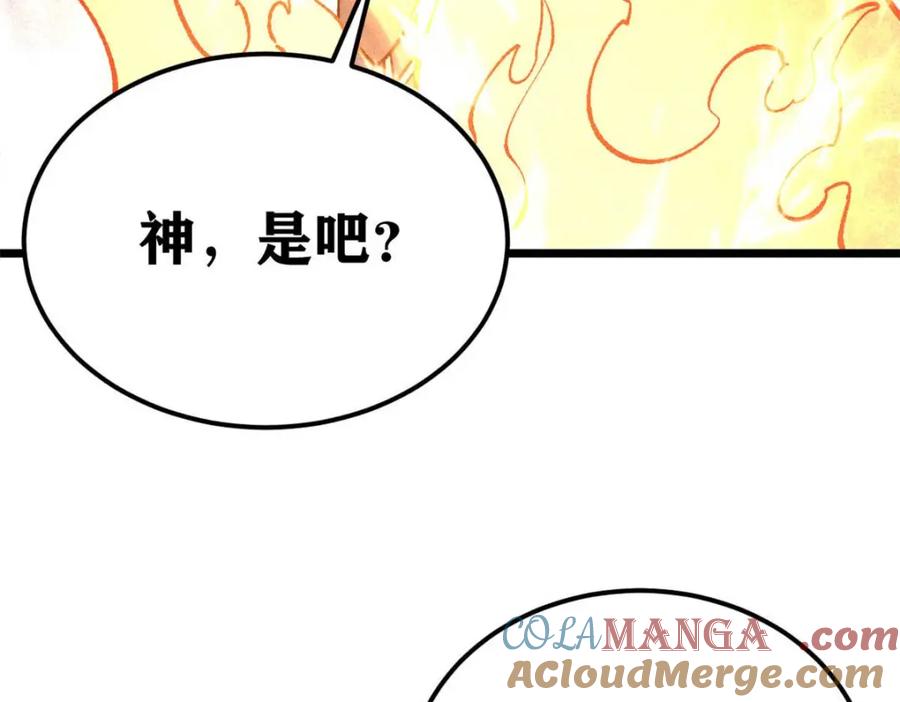 第229页